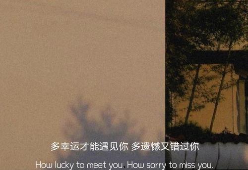 最新情感文案真实爆料,感人至深的情感告白  第1张